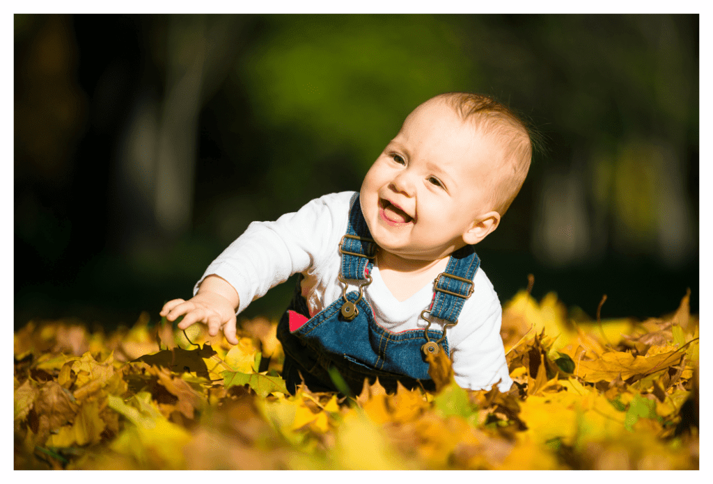 Toddler crawling through a pile of brightly coloured fallen leaves.